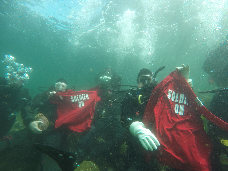 Open Water Scuba Course- Kingston, ON Image