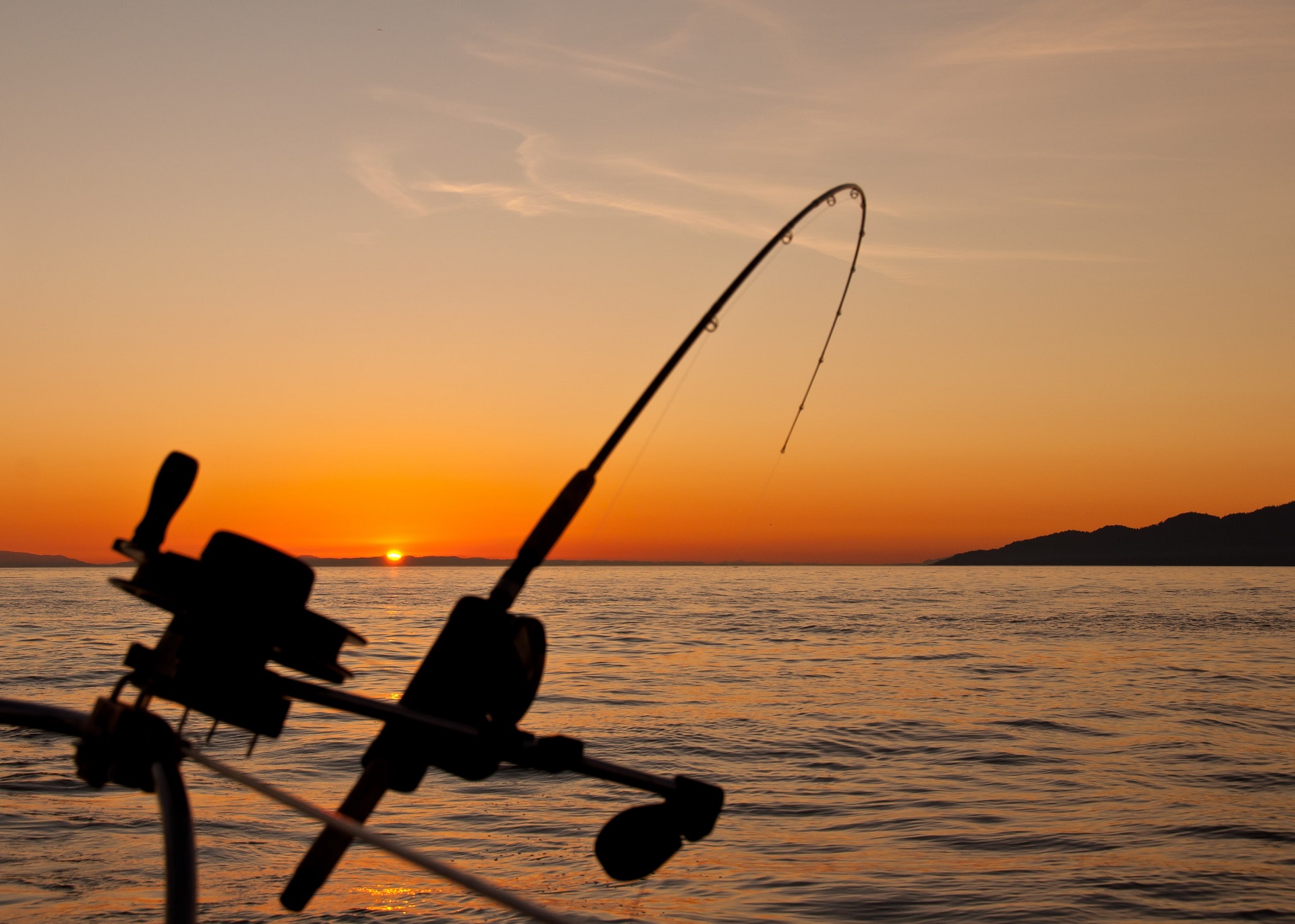 Introduction to Fishing in Spruce Grove, AB Image