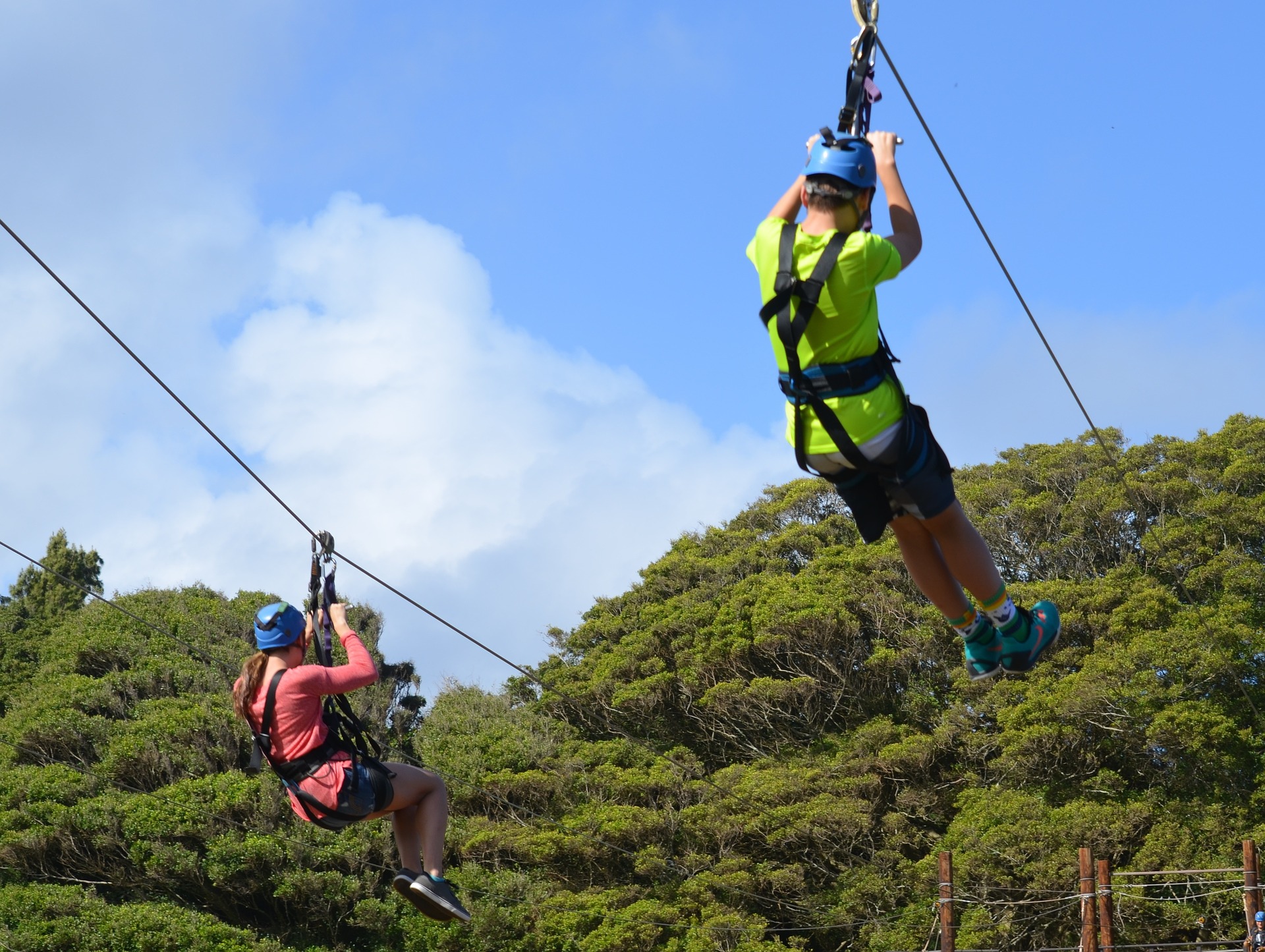 Ontree Zipline (Wheelchair Accessible) Obstacle Course in Windsor, NS Image