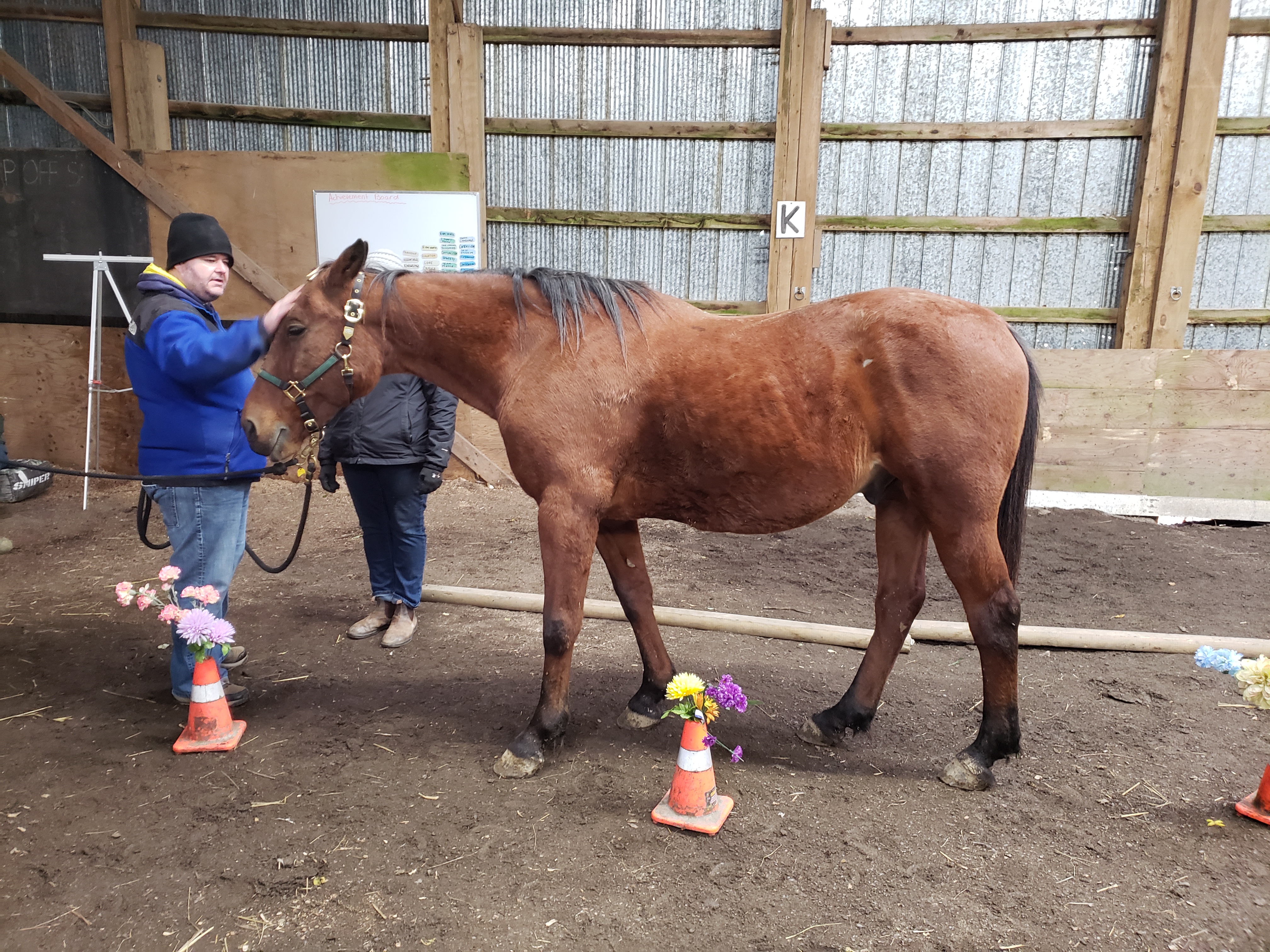 Introduction to Horseback Riding in Lyn, ON Image