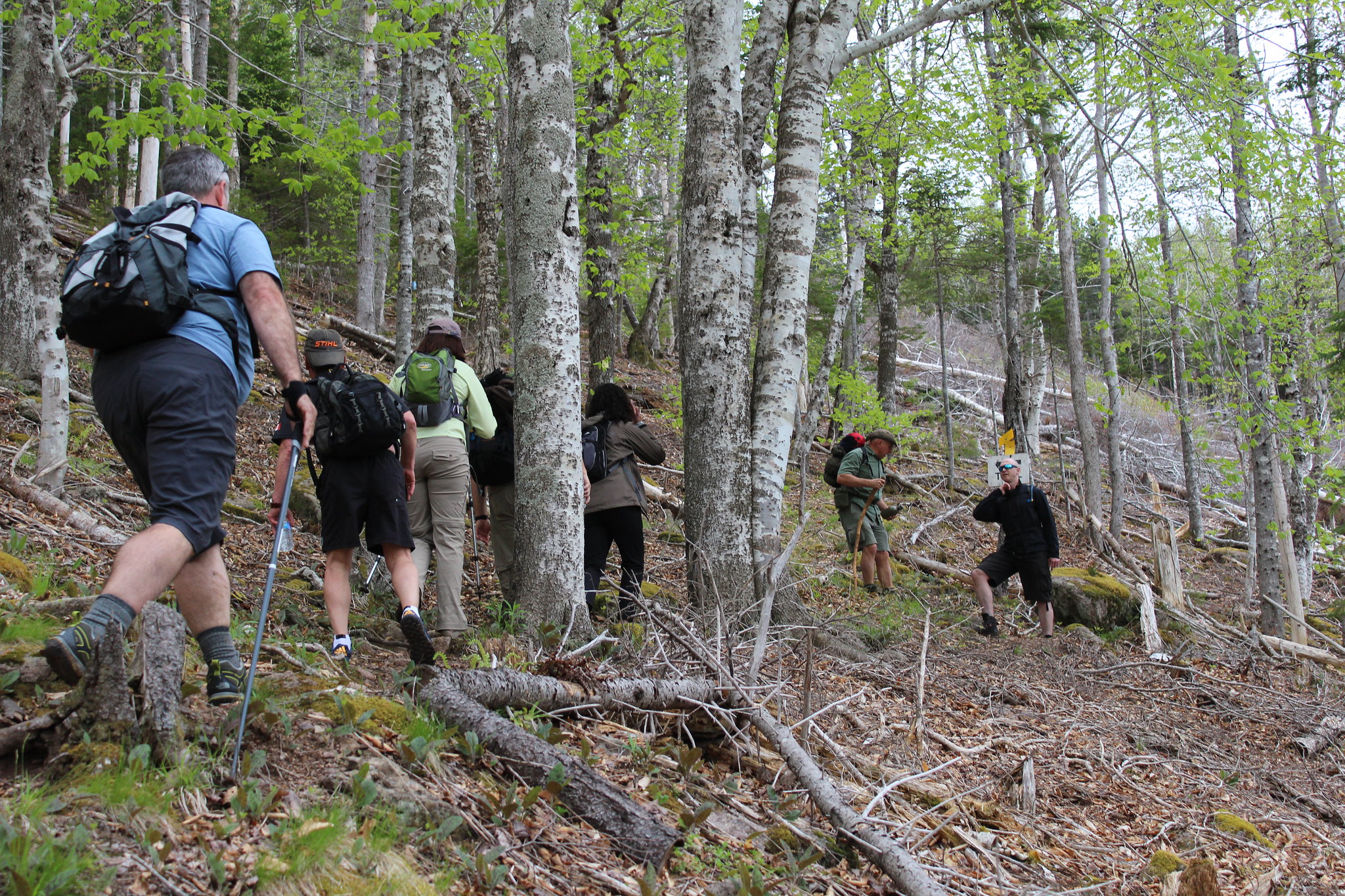 Beginner Hike in Mactaquac Provincial Park, NB Image