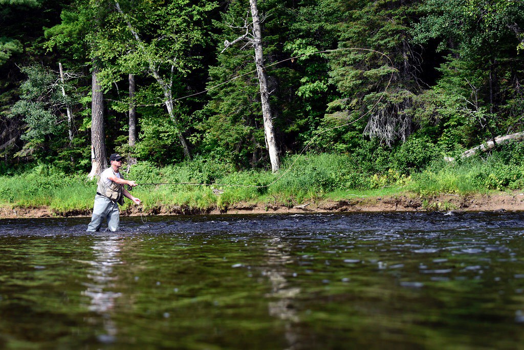 Learn to Fly Fish in Calgary, AB Image