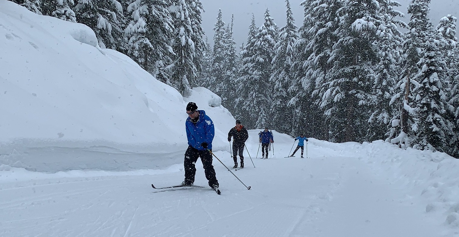 Cross-Country Ski in Oro Medonte, ON Image