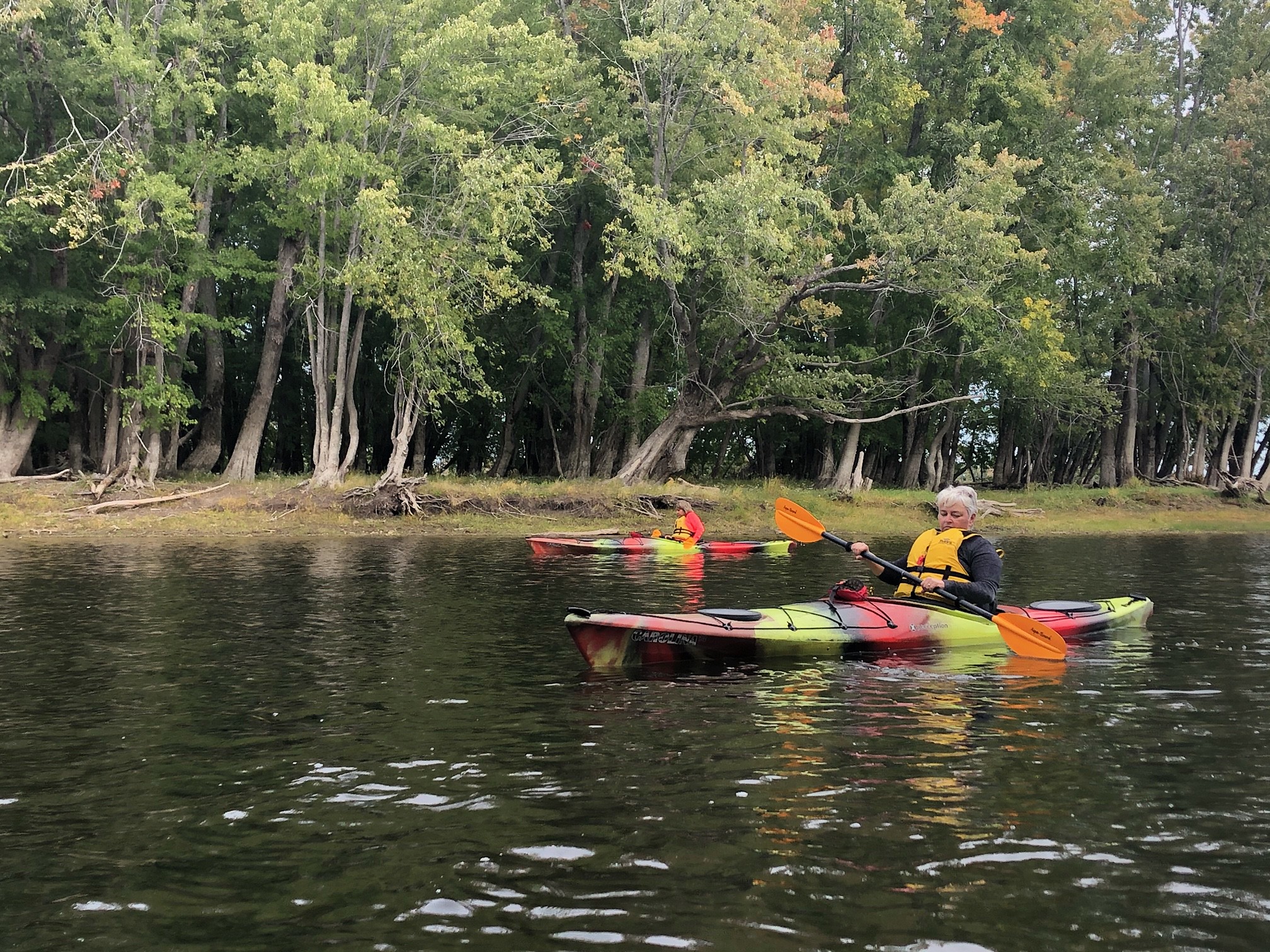 Kayaking in Heathcote, ON Image