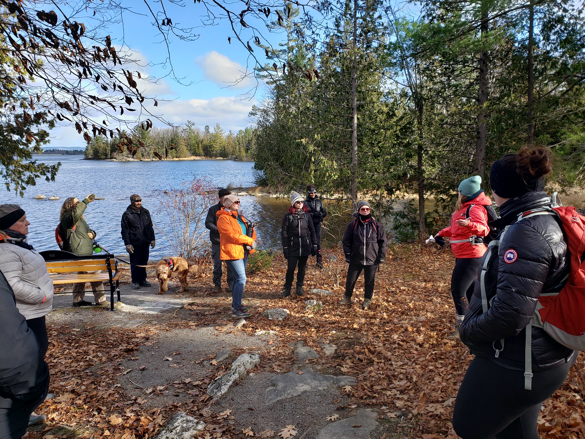 Guided Hike at Griffiths Uplands in the NCR Image