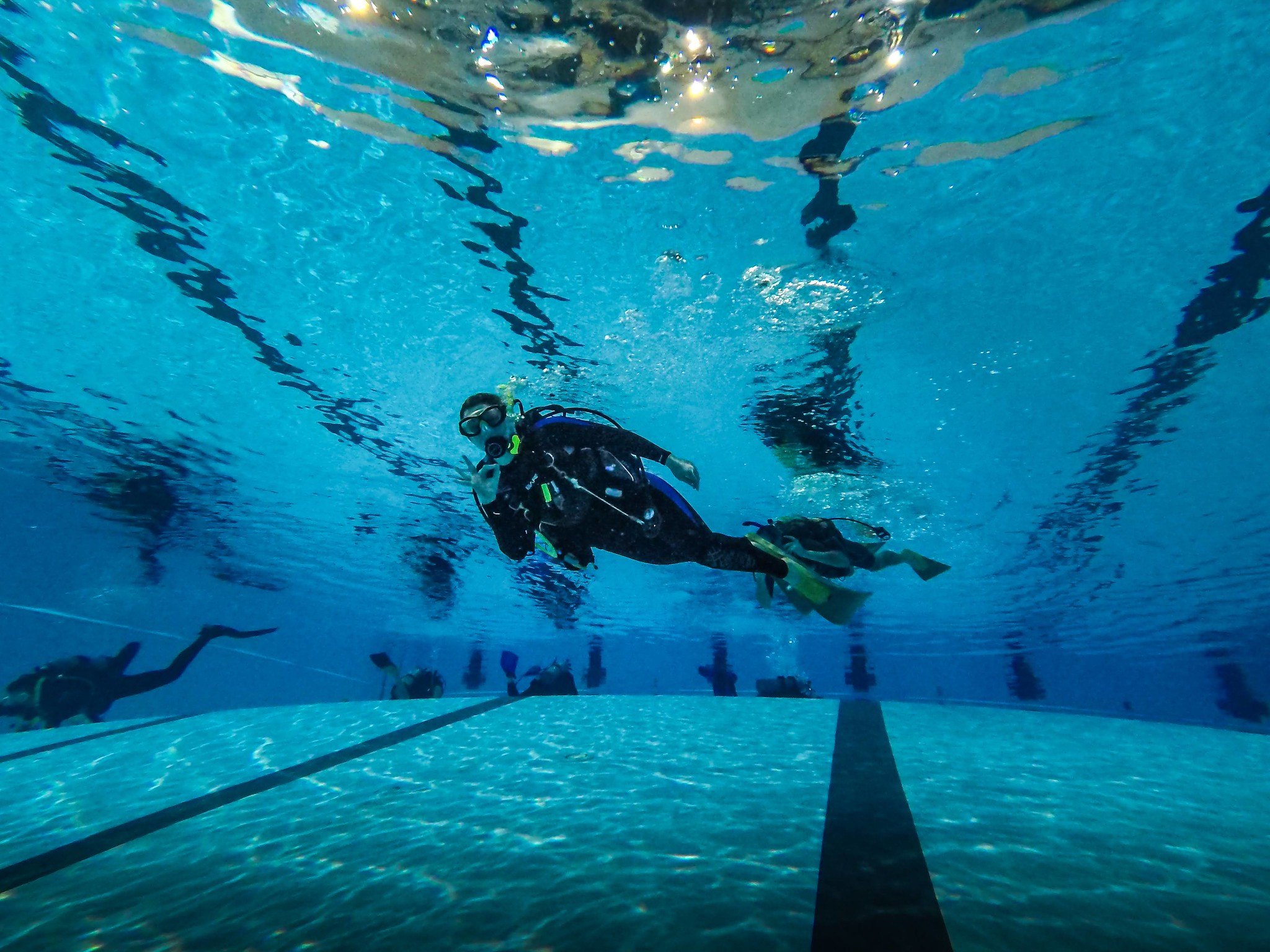 PADI Open Water Dive Course in Halifax, NS Image