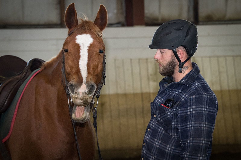 Equestrian Riding & Learning - 2026 - London, On