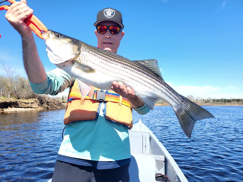 Atlantic Bass Fishing - 2026 - Sillikers, NB