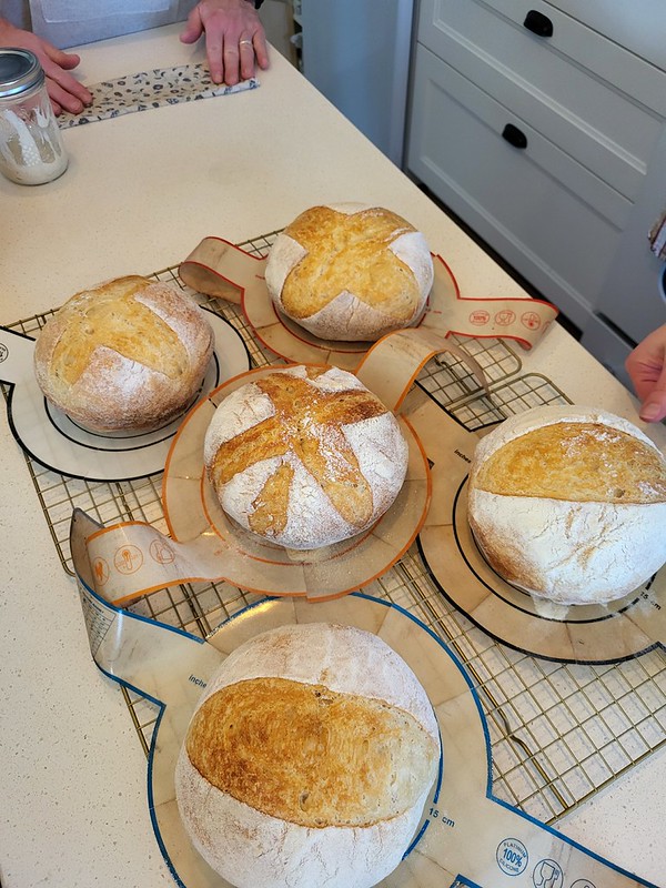 Sourdough Bread Workshop - 2026 - Seabright, NS