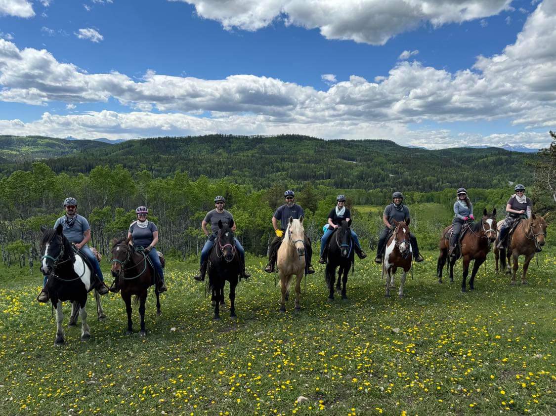 Multi-Region Horse Camp