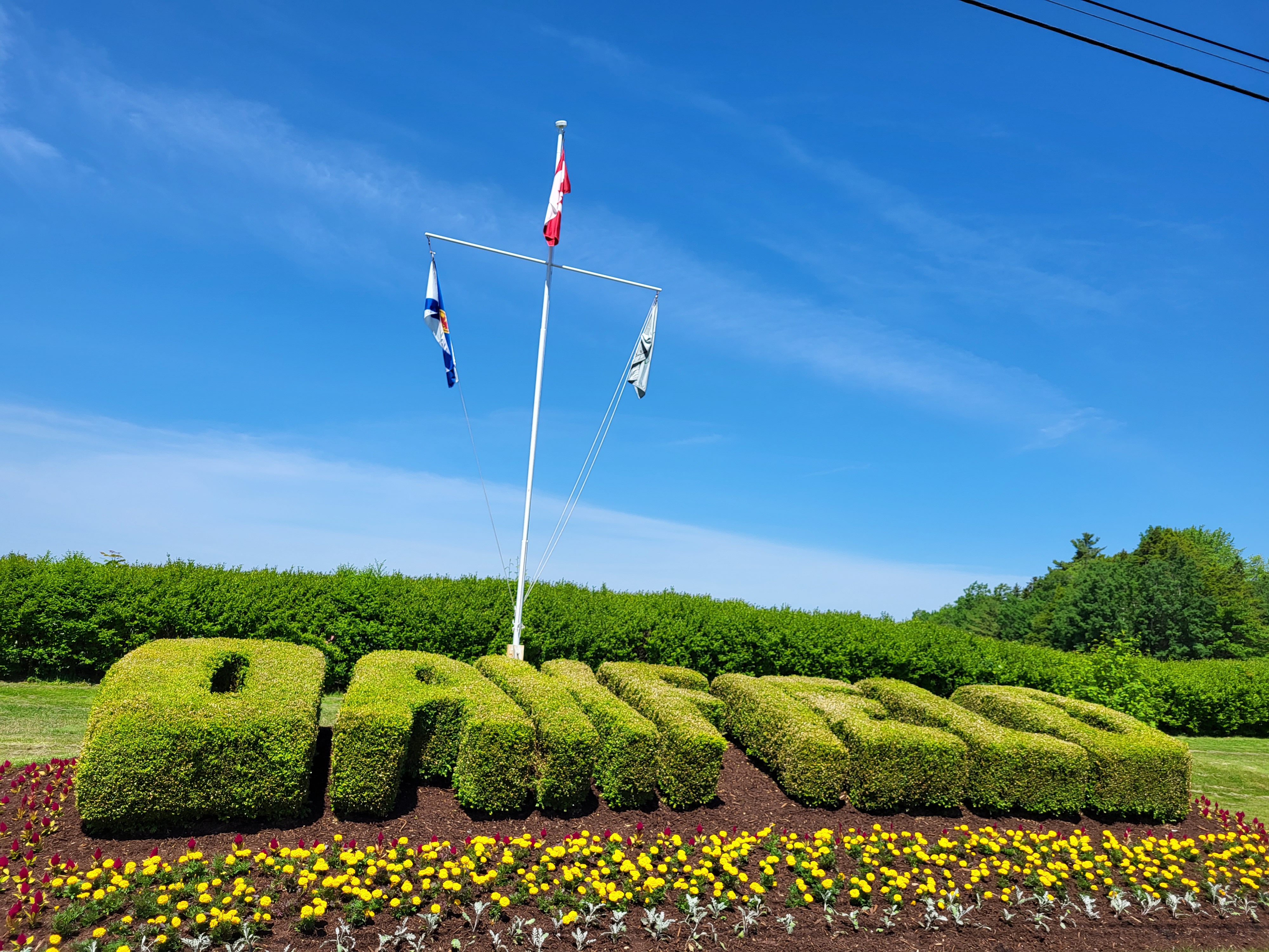 Learn To Golf Oakfield Image