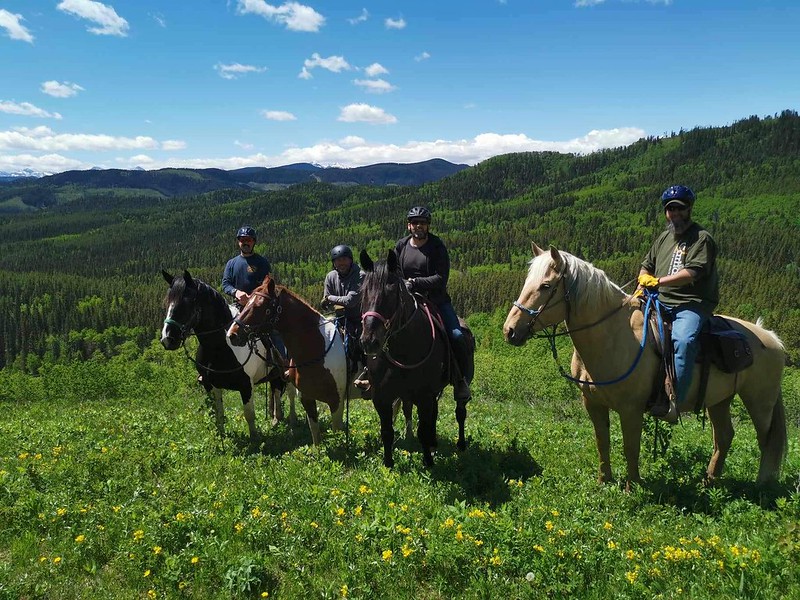 ALBERTA HORSEMANSHIP Image