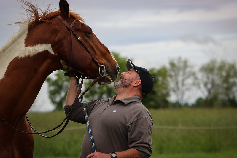 E-ON INVERARY INTRODUCTION TO HORSEMANSHIP Image