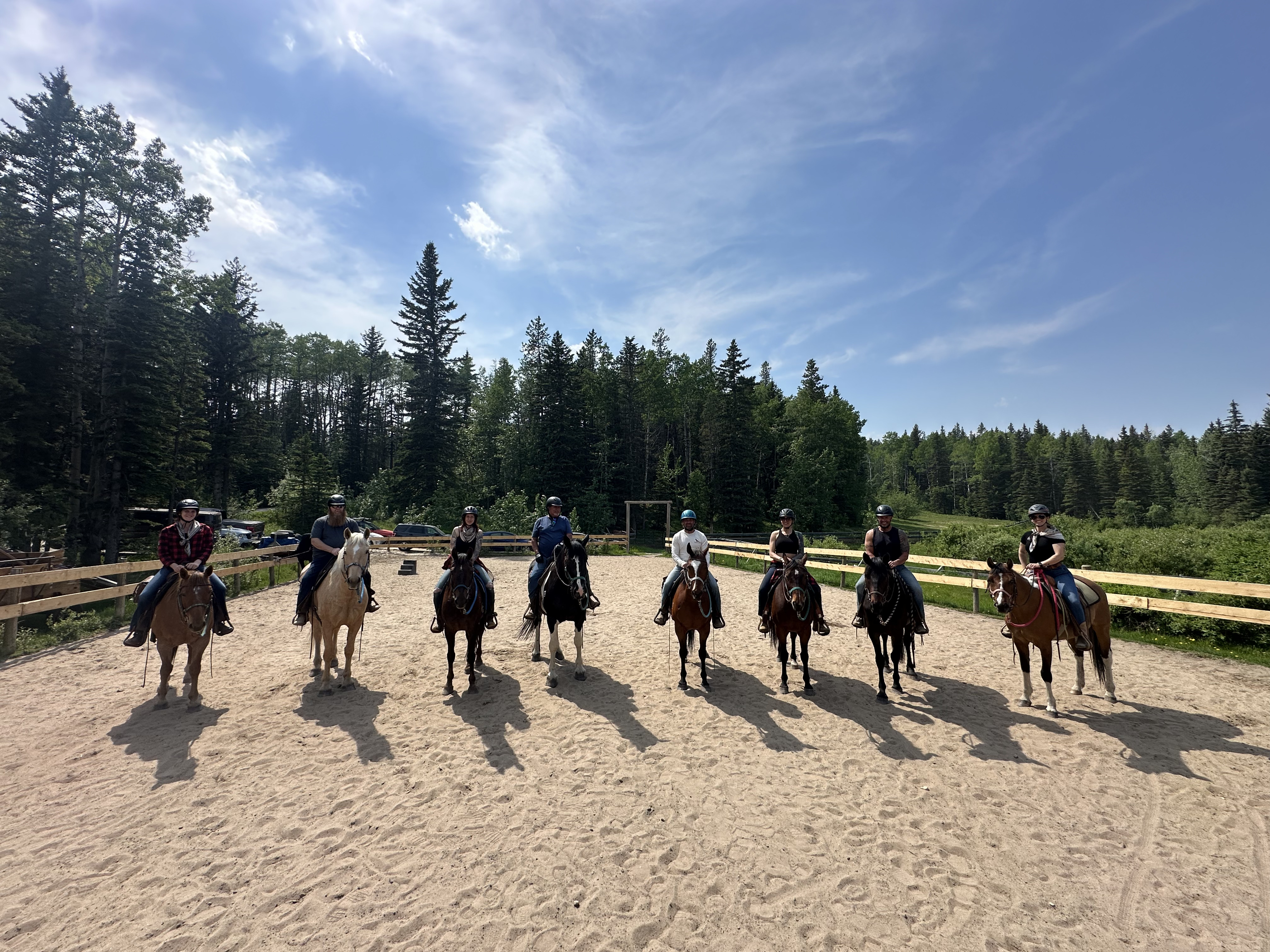 Equestrian Riding and Learning - Brentwood, ON Image