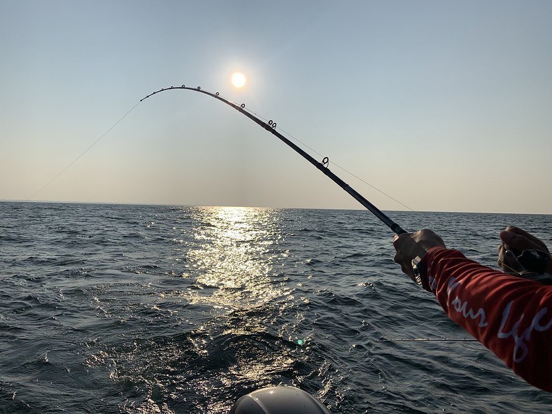 PEI Deep Sea Fishing Adventure Image