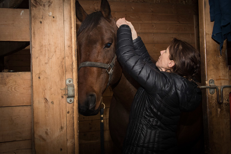 SASKATOON HORSE CAMP Image