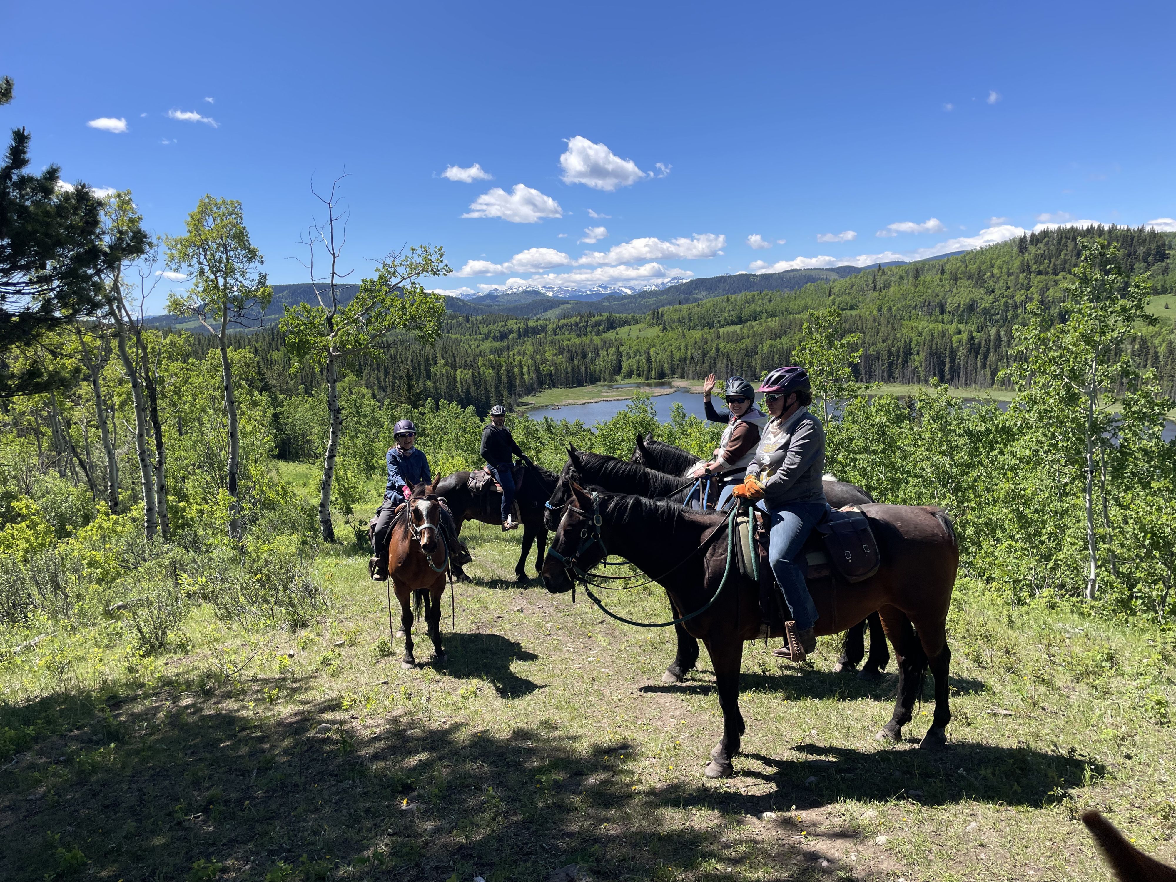 Alberta Horsemanship Image