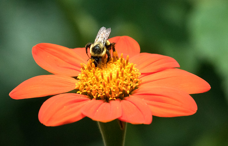 Honey Harvest - 2026 - Oromocto, NB Image