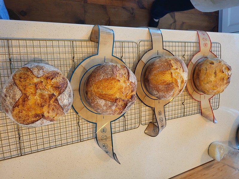 Sourdough Bread Workshop - 2026 - Seabright, NS Image