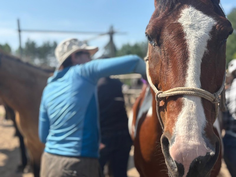 WESTERN HIKE-BIKE-RIDE-PADDLE - 2026 - Manitoba Image